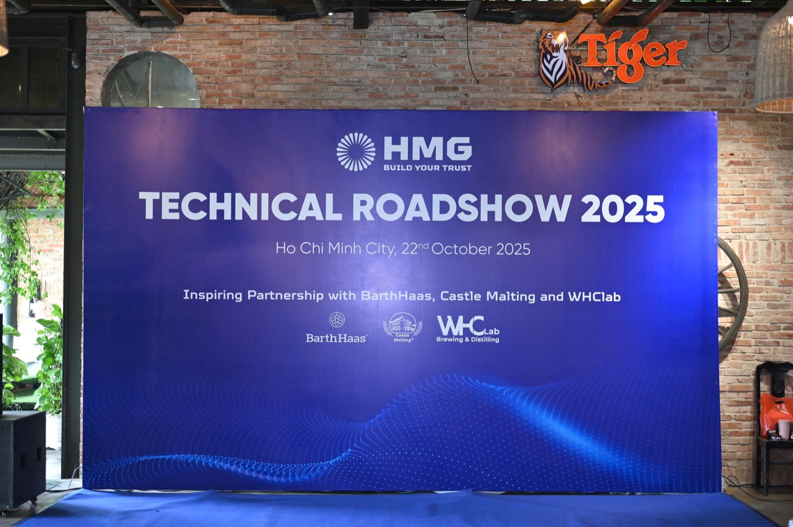 HMG team technical activity